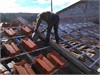 roof (1)